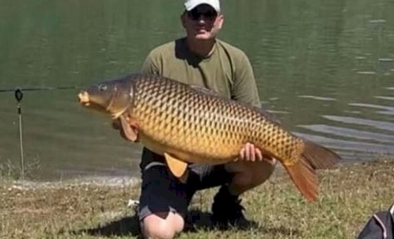 kapet-krapi-gjigant-ne-vermice,-peshon-18.5-kilograme