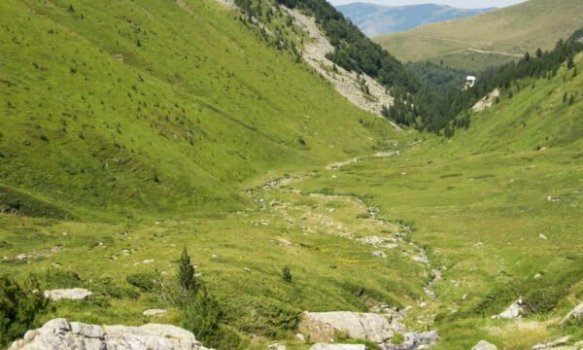 u-raportua-si-e-zhdukur,-gjendet-65-vjecarja-ne-malet-e-prevalles-pas-me-shume-se-tri-oresh-kerkime