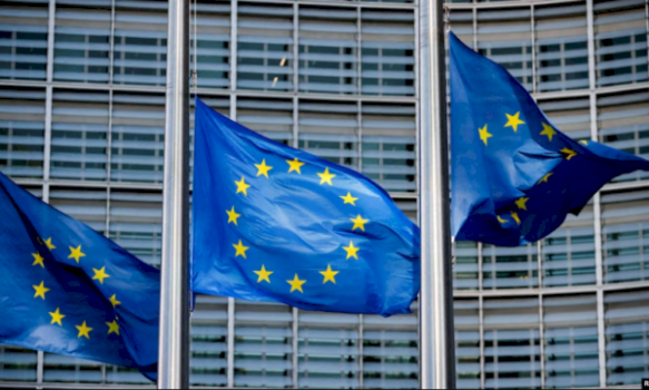 be-ja-nis-pergatitjet-financiare-per-anetaresimin-e-malit-te-zi