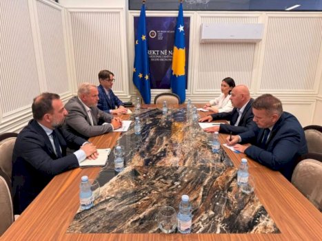 gjini-takon-raportuesin-e-parlamentit-evropian-per-kosoven:-papergjegjesia-politike-po-e-demton-kosoven,-po-humbim-mundesi-te-rendesishme
