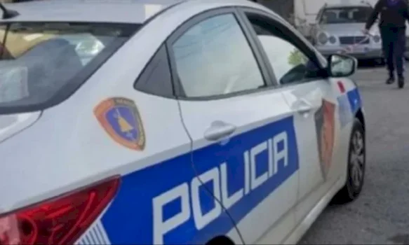nipi-plagos-me-thike-xhaxhane-ne-kamez,-arrestohet-16-vjecari