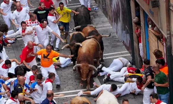57-persona-te-lenduar-gjate-vrapimit-tradicional-me-dema-ne-festivalin-san-fermin-ne-spanje