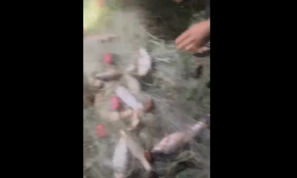 gjenden-rrjeta-ilegale-ne-ujman-dhe-disa-lumenj,-kishin-zene-dhjetera-peshq
