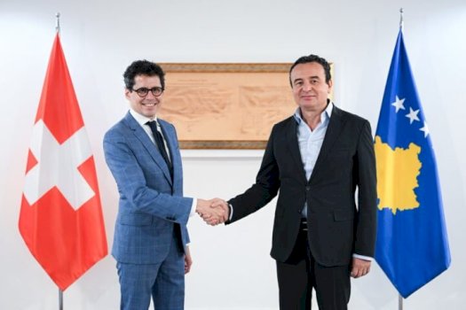 kurti-pret-ne-takim-lamtumires-ambasadorin-sprecher