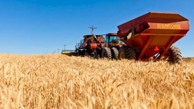 akb:-jo-importe,-por-grure-vendor-per-rezervat
