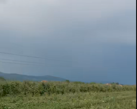 ministri-i-bujqesise-do-te-vizitoje-fermeret-e-prekur-nga-bresheri-ne-istog-dhe-ne-komuna-te-tjera