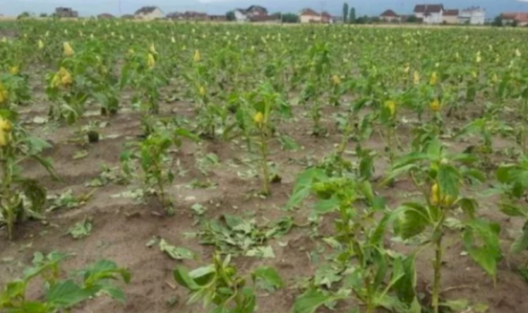 edhe-skenderaj-u-godit-nga-bresheri-e-stuhia,-nis-evidentimi-i-demeve