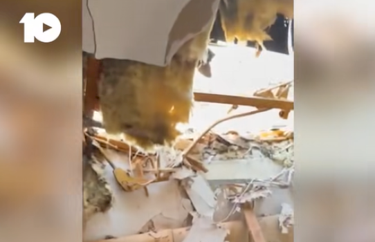 banoret-rrefejne-momentet-e-tmerrit-pas-renies-se-vincit-mbi-shtepi-(video)