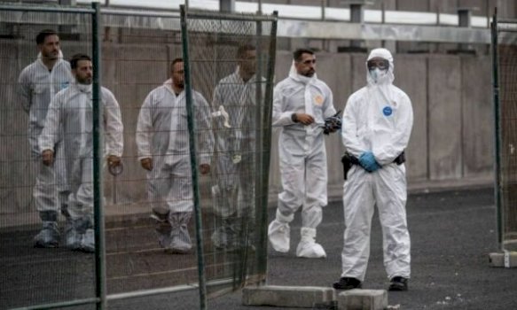 alarm-ne-kili:-dhjetera-raste-me-hantavirus,-frike-per-perhapjen-e-virusit-vdekjeprures