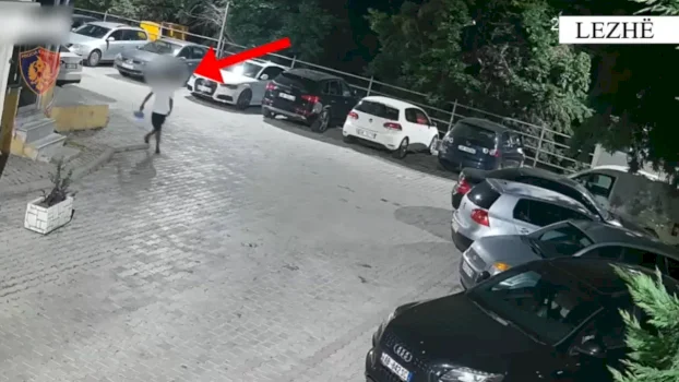 dy-arrestime-per-vjedhje-ne-lezhe,-policia-zbardh-detajet-e-operacionit
