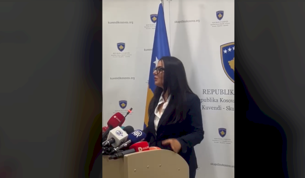 lushaku-sadriu:-ldk-ja-do-te-angazhohet-ne-themelimin-e-institucioneve,-i-nenshtrohemi-vullnetit-te-anetaresise