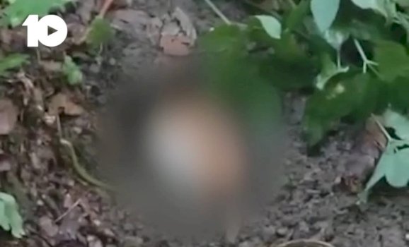ekskluzive:-ky-eshte-jugosllav-radevic,-i-arrestuari-per-krime-lufte-–-burime-te-kanal10:-dyshohet-edhe-per-rastin-e-kalludres
