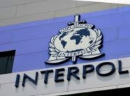 ekstradohet-nga-roma-ne-shqiperi-42-vjecari-i-denuar-per-trafikim-te-qenieve-njerezore