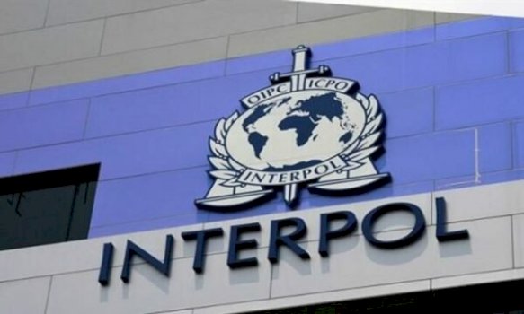 ekstradohet-nga-roma-ne-shqiperi-42-vjecari-i-denuar-per-trafikim-te-qenieve-njerezore