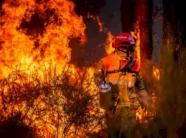 bbc:-qindra-te-arrestuar-per-zjarret-ne-france,-por-kush-eshte-faji?