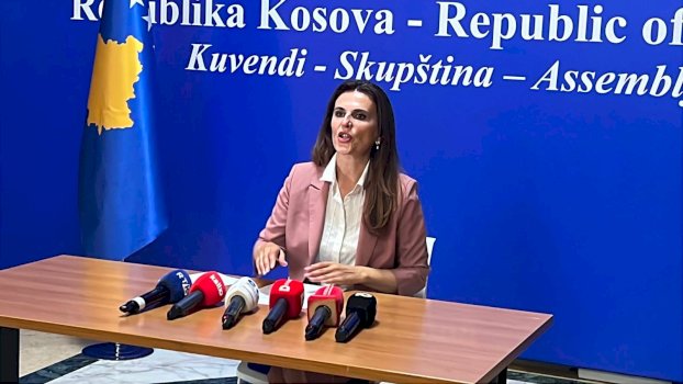 citaku:-dehari-po-i-nenshtrohet-partise-se-tij,-ta-kthejme-vendin-ne-binare-kushtetues