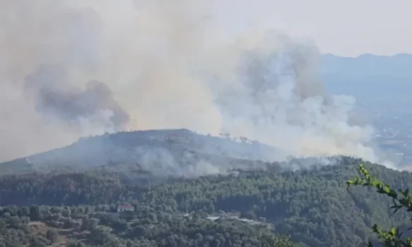 zjarret-dogjen-1.225-hektare-pyje-ne-shqiperi,-vlora-me-e-demtuara