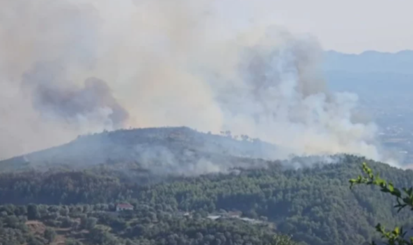 zjarret-dogjen-1.225-hektare-pyje-ne-shqiperi,-vlora-me-e-demtuara